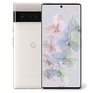 Accessori Google Pixel 6 Pro (5G)