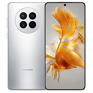 Accessori Huawei Mate 50