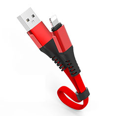 Cavo da USB a Cavetto Ricarica Carica 30cm S04 per Apple iPad 3 Rosso