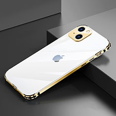 Custodia Lusso Alluminio Laterale Cover A06 per Apple iPhone 13 Mini Oro
