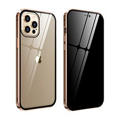 Custodia Lusso Alluminio Laterale Specchio 360 Gradi Cover T05 per Apple iPhone 12 Pro Oro