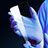 Pellicola in Vetro Temperato Protettiva Privacy Proteggi Schermo Film M08 per Apple iPhone 13 Mini Chiaro