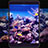 Pellicola in Vetro Temperato Protettiva Proteggi Schermo Film T03 per Xiaomi Mi Pad 3 Chiaro
