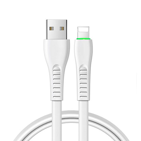 Cavo da USB a Cavetto Ricarica Carica D20 per Apple iPad Pro 12.9 (2020) Bianco