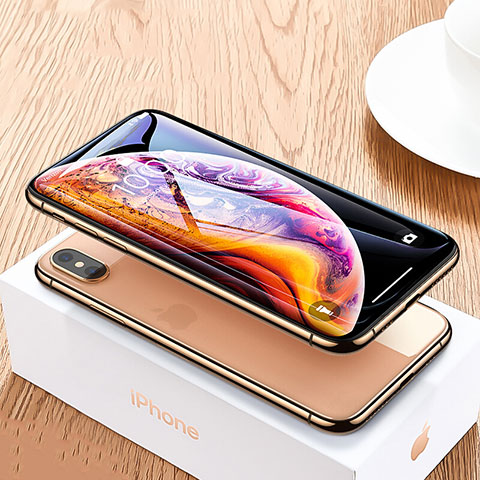 Pellicola in Vetro Temperato Protettiva Integrale Proteggi Schermo Film P06 per Apple iPhone Xs Nero