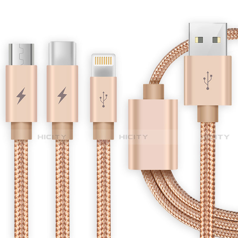 Cavo da Lightning USB a Cavetto Ricarica Carica Android Micro USB Type-C ML03 Oro