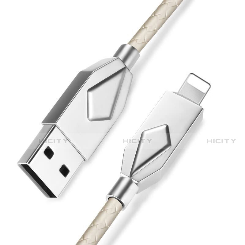 Cavo da USB a Cavetto Ricarica Carica D13 per Apple iPhone Xs Argento