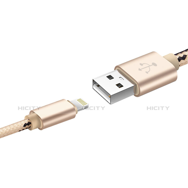 Cavo da USB a Cavetto Ricarica Carica L10 per Apple iPad Air 3 Oro