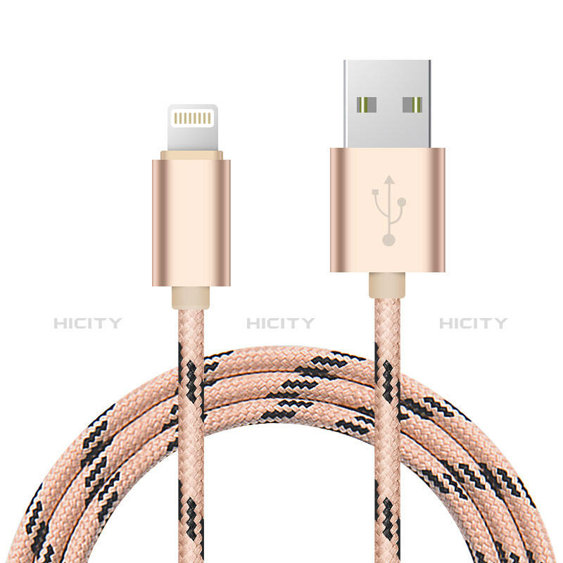 Cavo da USB a Cavetto Ricarica Carica L10 per Apple iPhone 11 Pro Max Oro