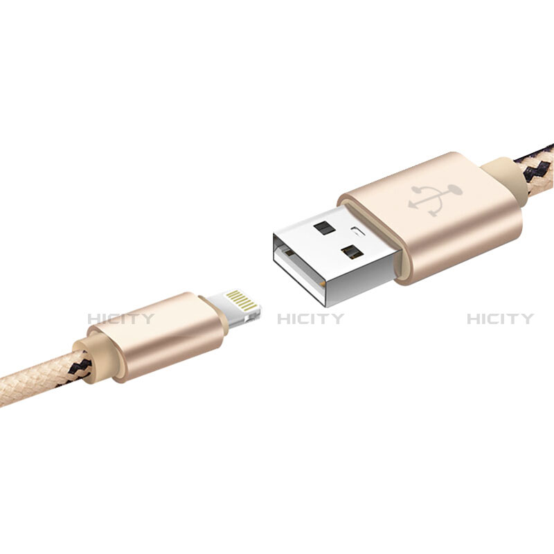Cavo da USB a Cavetto Ricarica Carica L10 per Apple iPhone 12 Mini Oro