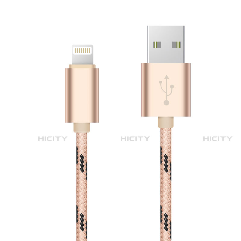 Cavo da USB a Cavetto Ricarica Carica L10 per Apple iPhone 12 Pro Max Oro