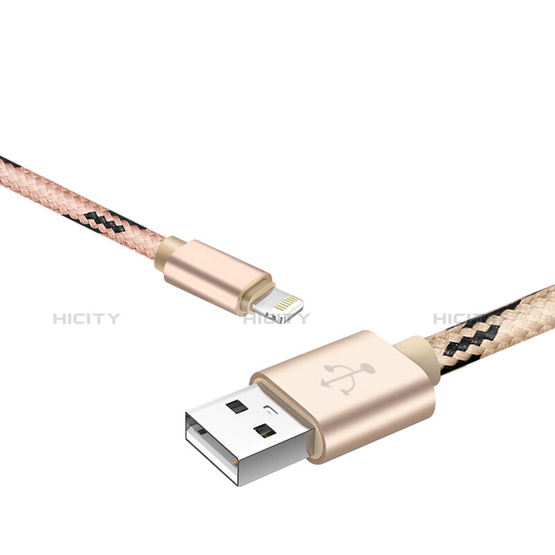 Cavo da USB a Cavetto Ricarica Carica L10 per Apple iPhone Xs Oro