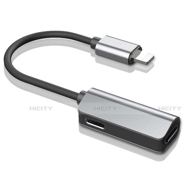 Cavo Lightning USB H01 per Apple iPad Mini 3 Argento