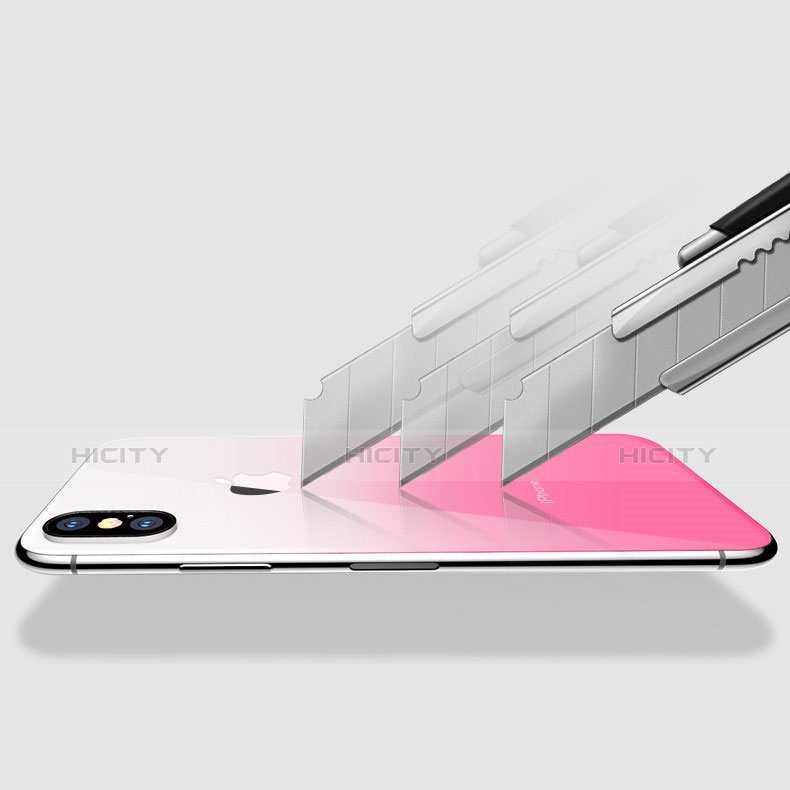 Pellicola Protettiva Retro Proteggi Schermo Film Sfumato per Apple iPhone Xs Max Rosa